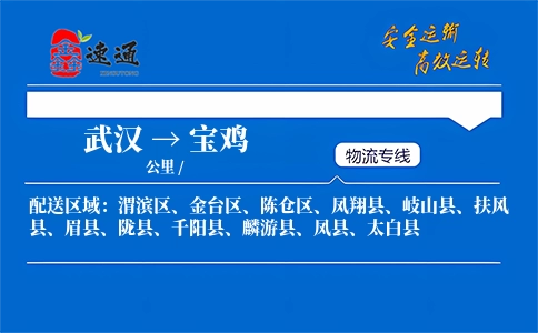 武汉到宝鸡物流公司